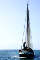 Wind in the Sails