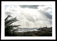 Coast of Tyre