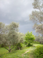 Hope in the storm