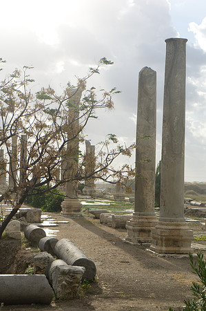 Ancient Tyre