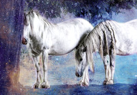 White Ponies in Blue