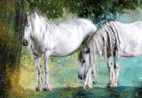 White Ponies in Green