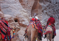 Camel train, Petra, Jordan