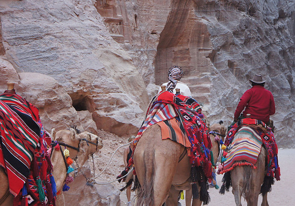 Camel train, Petra, Jordan