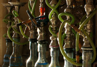 Shishas in the Sinai