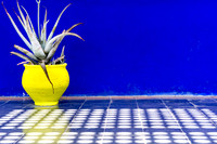 Blue and Yellow