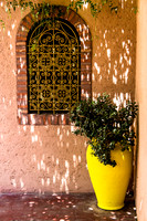 Colourful Gardens