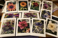 Artspace portfolio