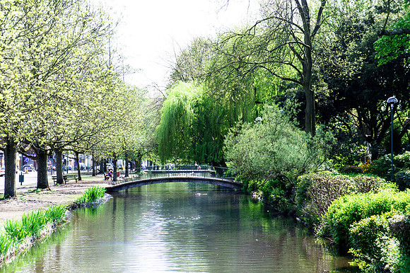 The Water Gardens