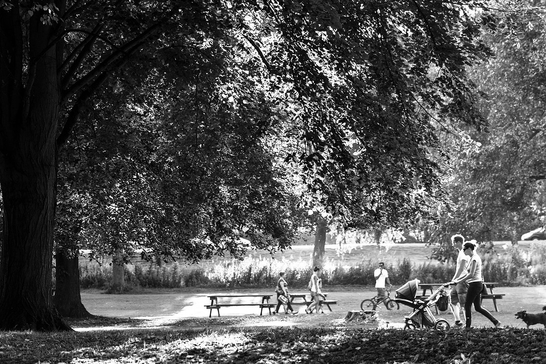 A Walk in the Park