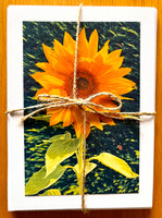 Sunflower set