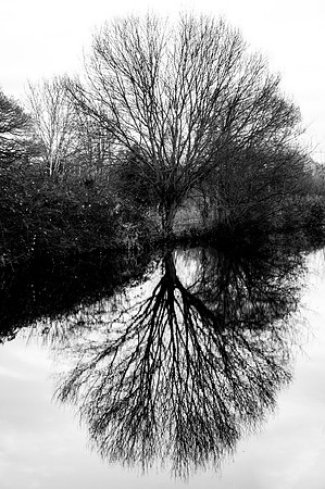 Reflections on the Grand Union Canal