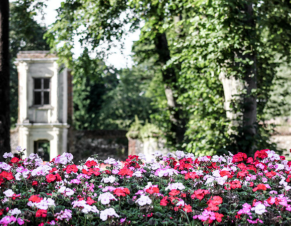 Outside the Walled Garden