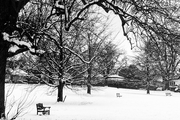 Snowy path