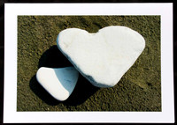 Shadowed by Love
