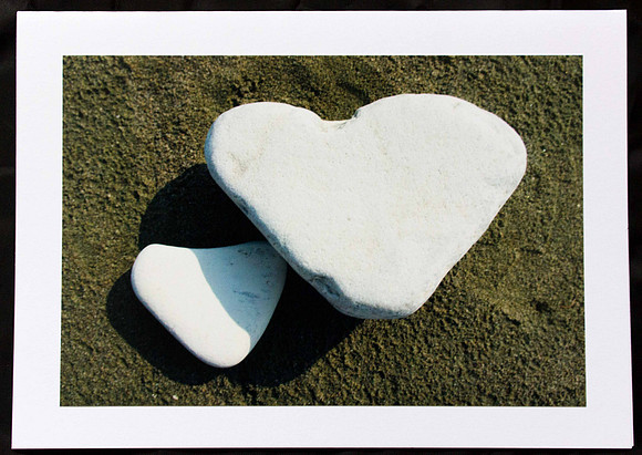 Shadowed by Love