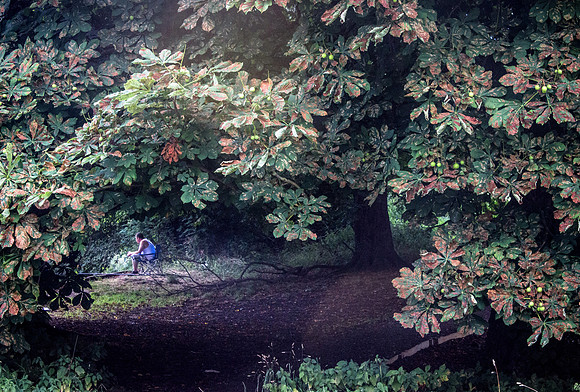 Gone Fishing