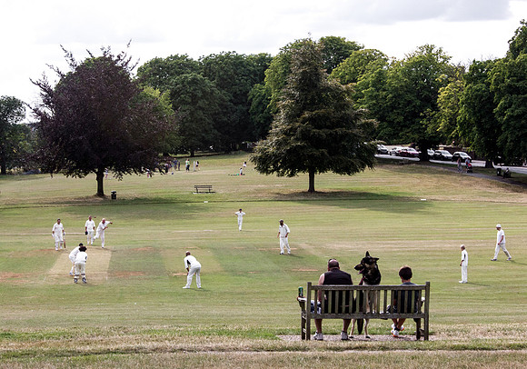Anyone for Cricket?